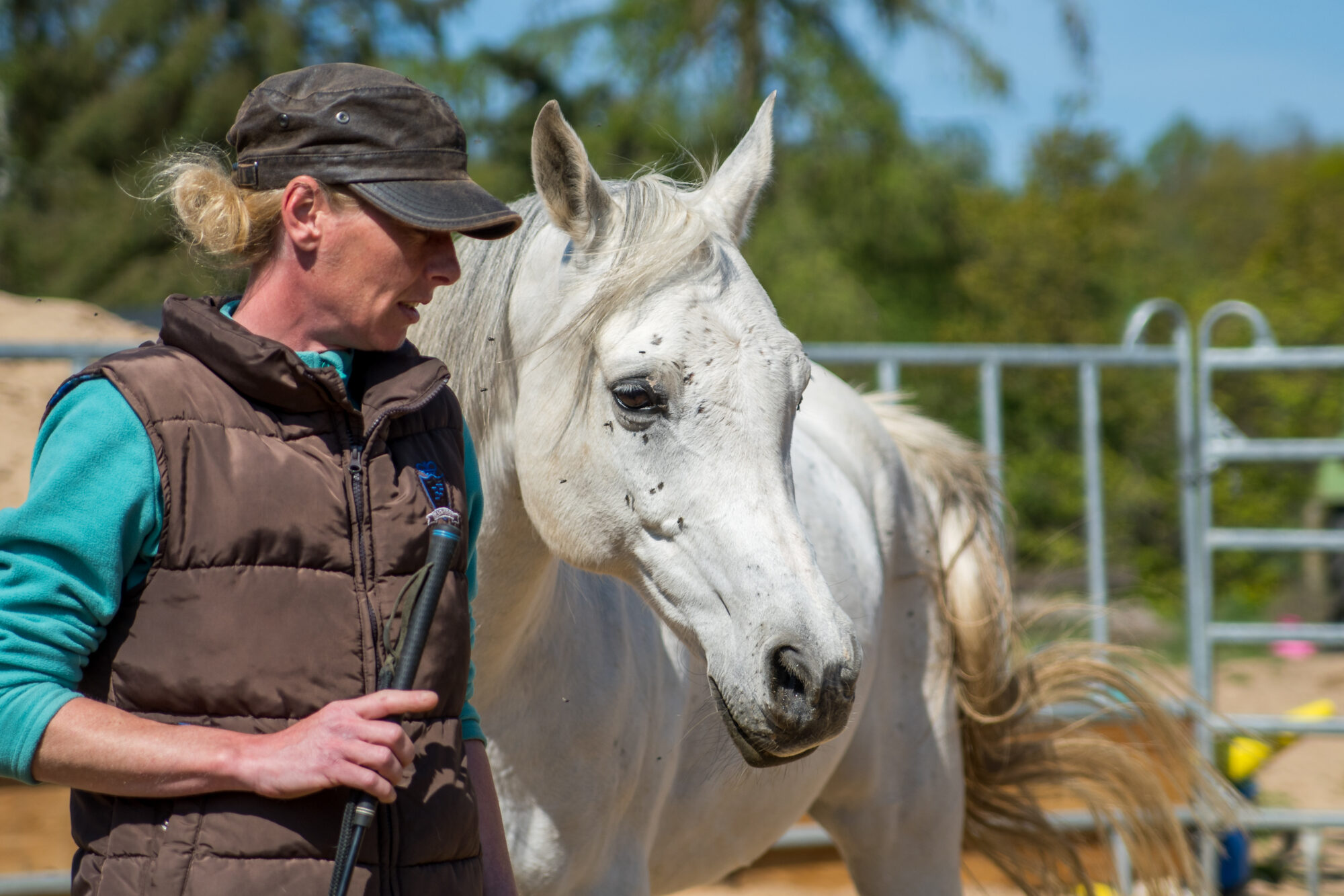 Stephanie Bollig natural horsemanship Das unsichtbare Band
